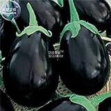 Visa Store 2018 vendita calda Davitu melanzane nero grandi semi di ortaggi, 100 semi, organici gustosi per la casa giardino E4327I foto / 