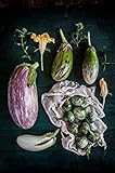 100pcs 12kinds di verdure Semi di melanzane Semi Bonsai piante Semi per la casa e orto biologico Plantas Sementes foto / EUR 10,99