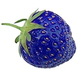 Rosepoem 100PCS Natural Organic Blue Strawberry Antiossidante Semi Pianta di piante rare e giardino bonsai foto / EUR 10,99
