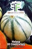 120 C.ca Semi Melone De Charentais - Cucumis Melo In Confezione Originale Prodotto in Italia - Meloni foto / EUR 7,40