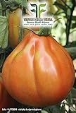 700 C.ca Semi Pomodoro Pearson - Lycopersicum Esculenthum In Confezione Originale Prodotto in Italia - Pomodori foto / EUR 7,40