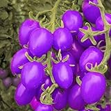 200pcs / bag semi di pomodoro viola pomodorini frutta sementi biologiche verdure sano pianta alimentare verde per il giardino di casa foto / EUR 10,99
