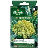 Vilmorin - Cavolo Broccolo Romanesco precoce foto / 