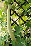 Semi di zucca serpente - Lagenaria siceraria - 24 semi - 24 semi foto / 