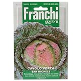 Franchi Sementi - Cavolo Verza San Michele foto / EUR 2,61