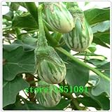 Pinkdose Melanzane, Semi variopinti Piuttosto Melanzana, Non transgenici Verdure Semi - 100 Particelle Seed: Bianco foto / 