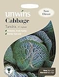 Unwins Pictorial pacco – cavolo Tundra F1 – 45 semi foto / EUR 3,32