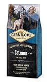 CARNILOVE Salmone 12 kg foto / EUR 57,00
