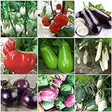Plentree Green Eggplant 30 semi: Heirloom Orto Melanzana semi non OGM Seeds Bianco sopravvivenza organici foto / 