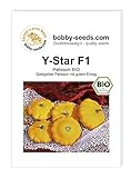Y-Star F1 BIO Kürbissamen von Bobby-Seeds Portion foto / 2,95 €