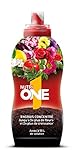 NUTRIONE ONELI500 Engrais Premium Liquide Universel 500 ML Luxuriantes | pour Toutes Plantes et Fleurs, Croissance Equilibrée, 500ml photo / 14,81 € (29,62 € / l)