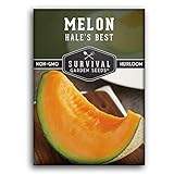 Survival Garden Seeds - Hale's Best Melon Seed for Planting - Grow Juicy Cantaloupe for Eating - Packet with Instructions to Plant in Your Home Vegetable Garden - Non-GMO Heirloom Variety photo / $4.99