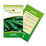 Zucchini Diamant F1 Samen - Cucurbita pepo - Zucchinisamen - Gemüsesamen - Saatgut für 5 Pflanzen foto / 1,99 € (0,40 € / stück)