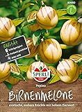80680 Sperli Premium Birnenmelone Samen | Melonenbirne Samen | Pepino Samen | Pepino Melonenbirne Samen | Birnenmelone Pflanze | Melonenbirne Pflanze foto / 6,77 €