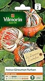 VILMORIN Potiron Giraumon Turban foto / 9,75 €