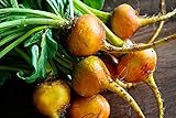 Remolacha naranja 500 piezas semillas de remolacha azúcar semillas de verduras no GMO para la plantación de jardín en casa fácil de cuidar principiantes adecuados foto / 4,99 €
