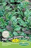 Germisem Baby Leaf Oriental Mix Semillas de Lechuga 2 g, EC6025 foto / 2,21 €