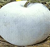 Big Pack - (100) Winter Melon Round, Wax Gourd Seeds - Tong Qwa - Used in Asian Soup Dishes - Non-GMO Seeds by MySeeds.Co (Big Pack - Wax Gourd) photo / $12.89 ($0.13 / Count)