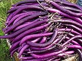 la semilla de berenjena púrpura 200PC. semillas de plantas hortícolas verde natural. Sencillo establecimiento del jardín foto / 5,99 €