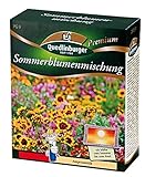 Sommerblumenmischung (ohne Gräser) NEU foto / 7,21 € (72,10 € / kg)
