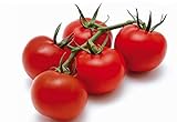 POMODORO CILIEGINO NERO 30 SEMI Pomodorino Dolce Alta Resa Black Cherry Tomato foto / EUR 4,98