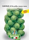 Sementi orticole di qualità l'ortolano in busta termosaldata (160 varietà) (CAVOLO DI BRUXELLES MEZZO NANO) foto / 