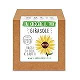 Garden Pocket - Fai crescere il tuo GIRASOLE - Kit di germinazione foto / EUR 14,90