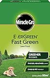 EverGreen estremo prato verde scatola di fertilizzante 80 m² foto / EUR 20,10