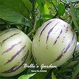 Semi 20pcs Pepino Semi pepino melone pera giardino domestico di DIY BonsaïPianta foto / EUR 10,99