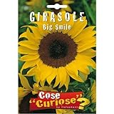 Semi - Girasole Big Smile foto / EUR 6,35