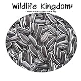 Wildlife Kingdom - Semi di girasole striati di alta qualità, adatti come cibo per i pappagalli parrocchetto, mangime energetico per uccelli selvatici✔ foto / EUR 19,95
