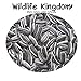 foto Wildlife Kingdom - Semi di girasole striati di alta qualità, adatti come cibo per i pappagalli parrocchetto, mangime energetico per uccelli selvatici✔