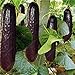 foto Pinkdose bonsai 100 pezzi rari viola cetriolo giapponese nero semi di cetriolo lunghi per la casa giardino semi verdure sane piante non-OGM