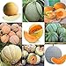 foto Portal Cool 06: 20 Pz/borsa Semi di melone Delicious Melone Seeds Home Garden Plants Ehe8 02