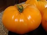 30 semillas de desayuno hoja de papa de Kellogg - Tomates Orange foto / 17,40 €