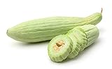 Armenian Yard-Long Cucumber Seeds - Non-GMO - 4 Grams, Approximately 130 Seeds photo / $5.99
