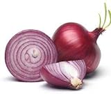 Red Shortday Burgundy Onion Seeds, 300 Heirloom Seeds Per Packet, Non GMO Seeds, Botanical Name: Allium cepa, Isla's Garden Seeds photo / $5.99 ($0.02 / Count)