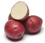 5lb Pack of Seed Potatoes - Variety 