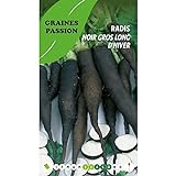 Graines Passion sachet de graines Radis noir gros long d'hiver photo / 5,50 €