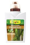 Flower 10561 - Abono líquido Palmeras, 500 ml foto / 5,95 €