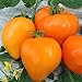 foto Tomate Altai Honig - Sehr Leckere Tomatensorte - ertragreich - 10 Samen