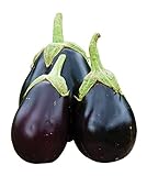 Burpee Early Midnight Eggplant Seeds 35 seeds photo / $8.58 ($0.25 / Count)