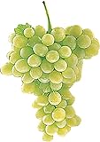 5 graines de raisin blanc Raisins de table frais photo / 13,97 €