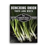 Survival Garden Seeds - Tokyo Long White Onion Seed for Planting - Pack with Instructions to Plant and Grow Asian Green Onions in Your Home Vegetable Garden - Non-GMO Heirloom Variety photo / $4.99