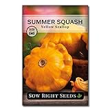 Sow Right Seeds - Yellow Scallop Summer Squash Seed for Planting  - Non-GMO Heirloom Packet with Instructions to Plant a Home Vegetable Garden photo / $4.99