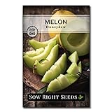 Sow Right Seeds - Green Honeydew Melon Seed for Planting - Non-GMO Heirloom Packet with Instructions to Plant a Home Vegetable Garden photo / $4.99