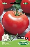 Germisem graines Tomate PYROS F1 photo / 5,83 €