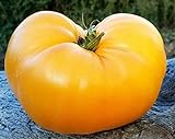 50 semillas de tomate huerto, granja plantación semillas de hortalizas carne de naranja llena de naranja semillas raras esenciales foto / 4,99 €