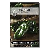 Sow Right Seeds - Poblano Pepper Seeds for Planting - Make Ancho Chiles at Home - Non-GMO Heirloom Packet with Instructions to Plant a Home Vegetable Garden… photo / $4.99