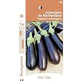 France Graines - Aubergine de Barbentane photo / 4,95 €